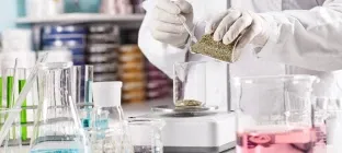 ERP Tunisie centralisant et automatisant les processus pour améliorer la performance de l’entreprise