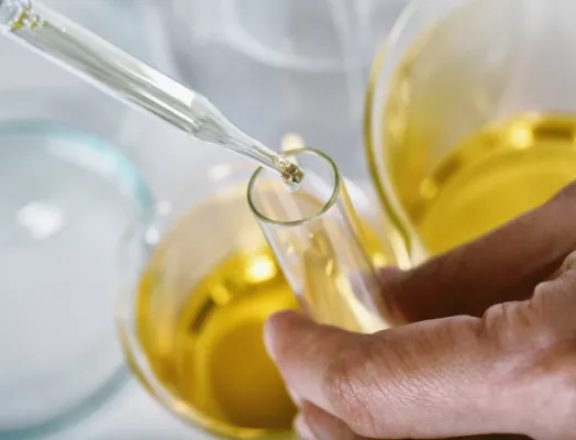 Expertise ERP pour l’Industrie en Tunisie